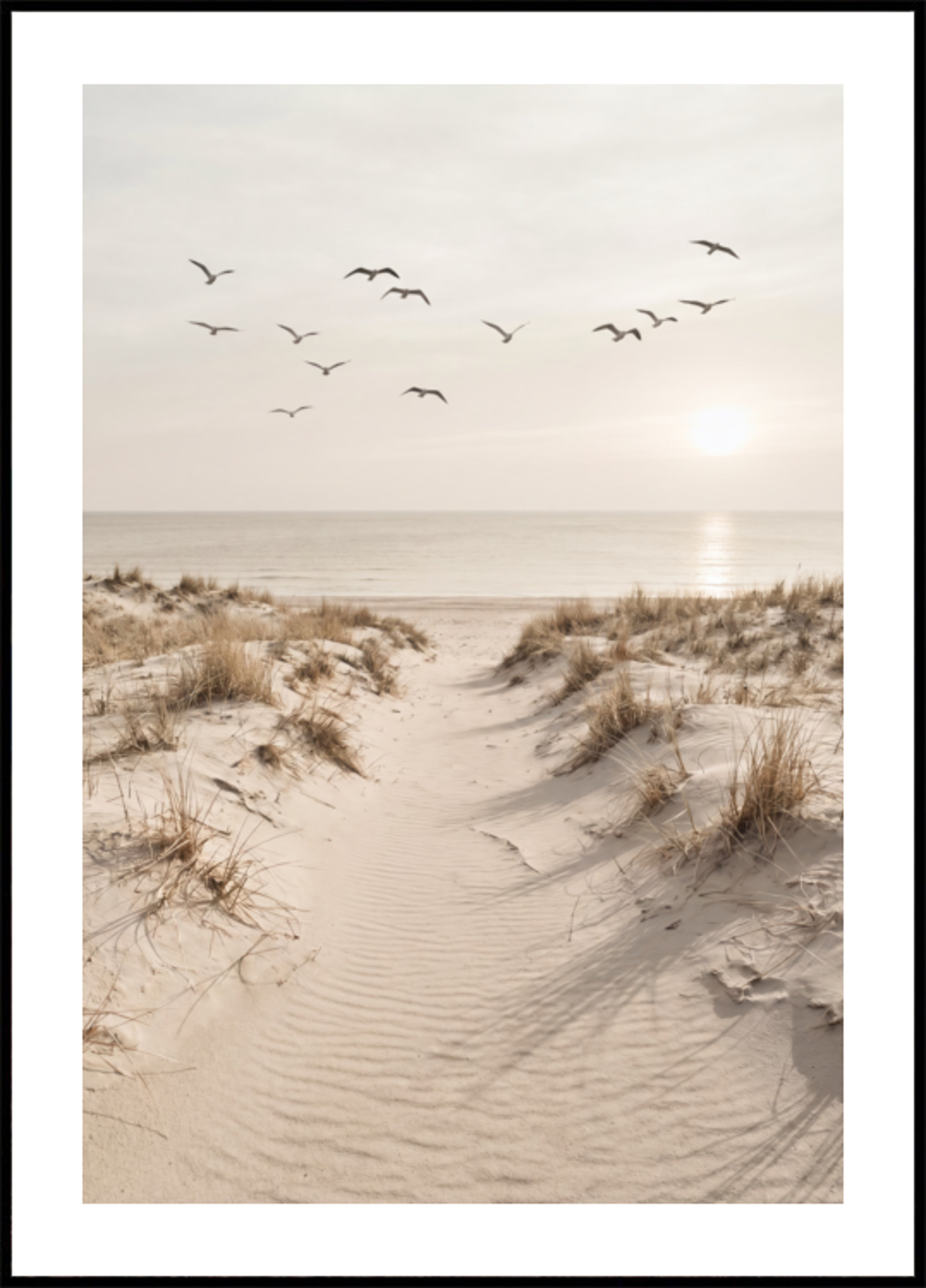 Chemin de sable paisible