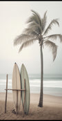 Planches de surf Serene Beach
