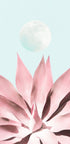 Pink Succulent Moon - Posterbox