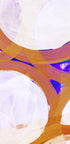 Vibrant Geometric Rings - Posterbox