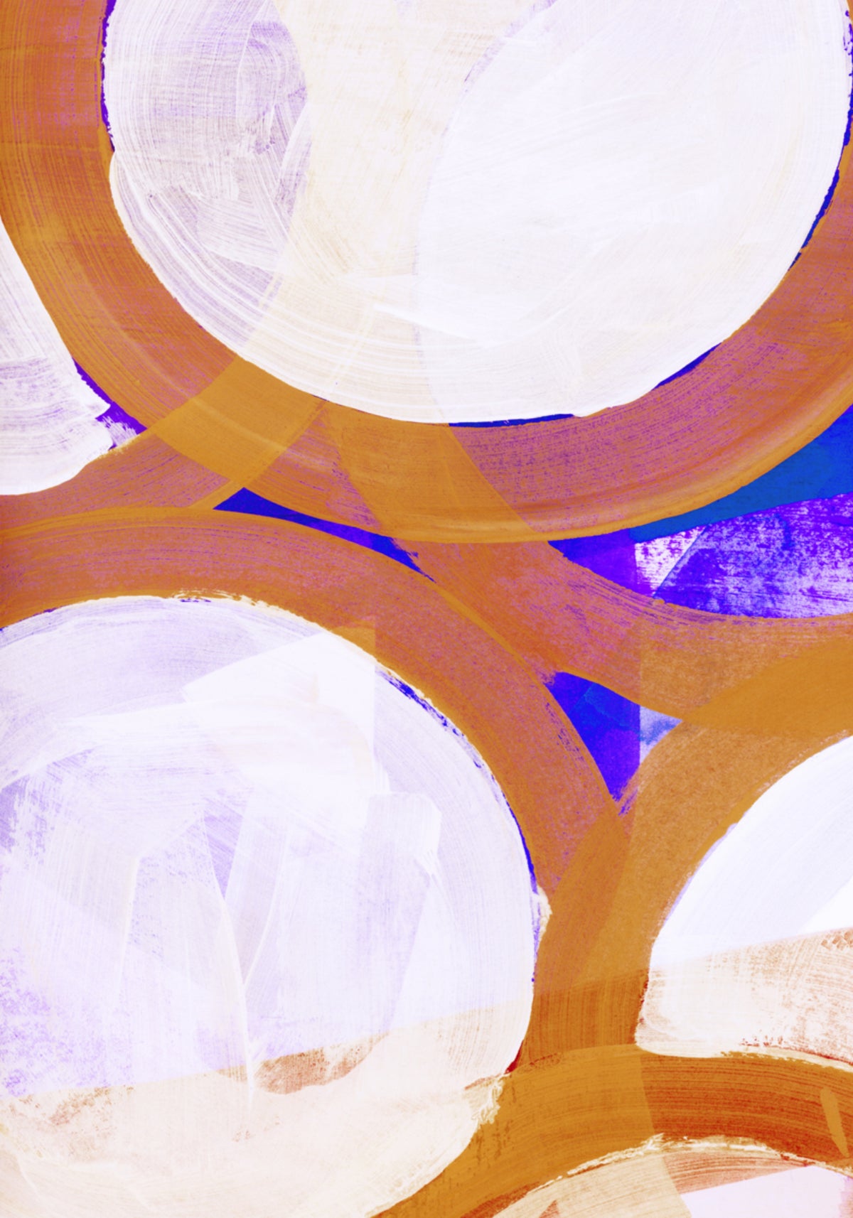 Vibrant Geometric Rings - Posterbox