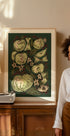 Sketched Green Apples - Posterbox