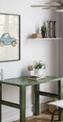 Little Blue Racer - Posterbox