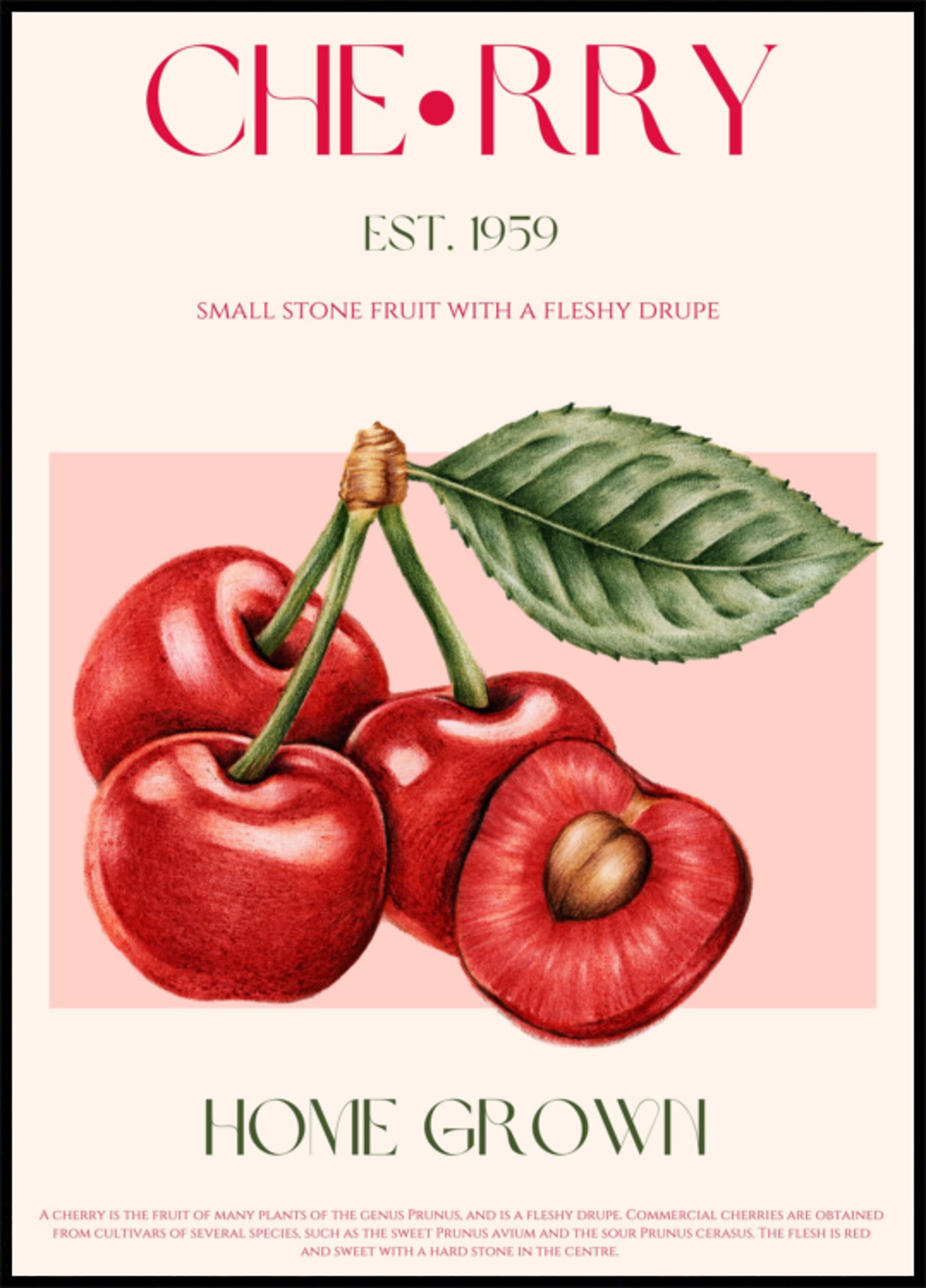 Cerises cultivées sur place