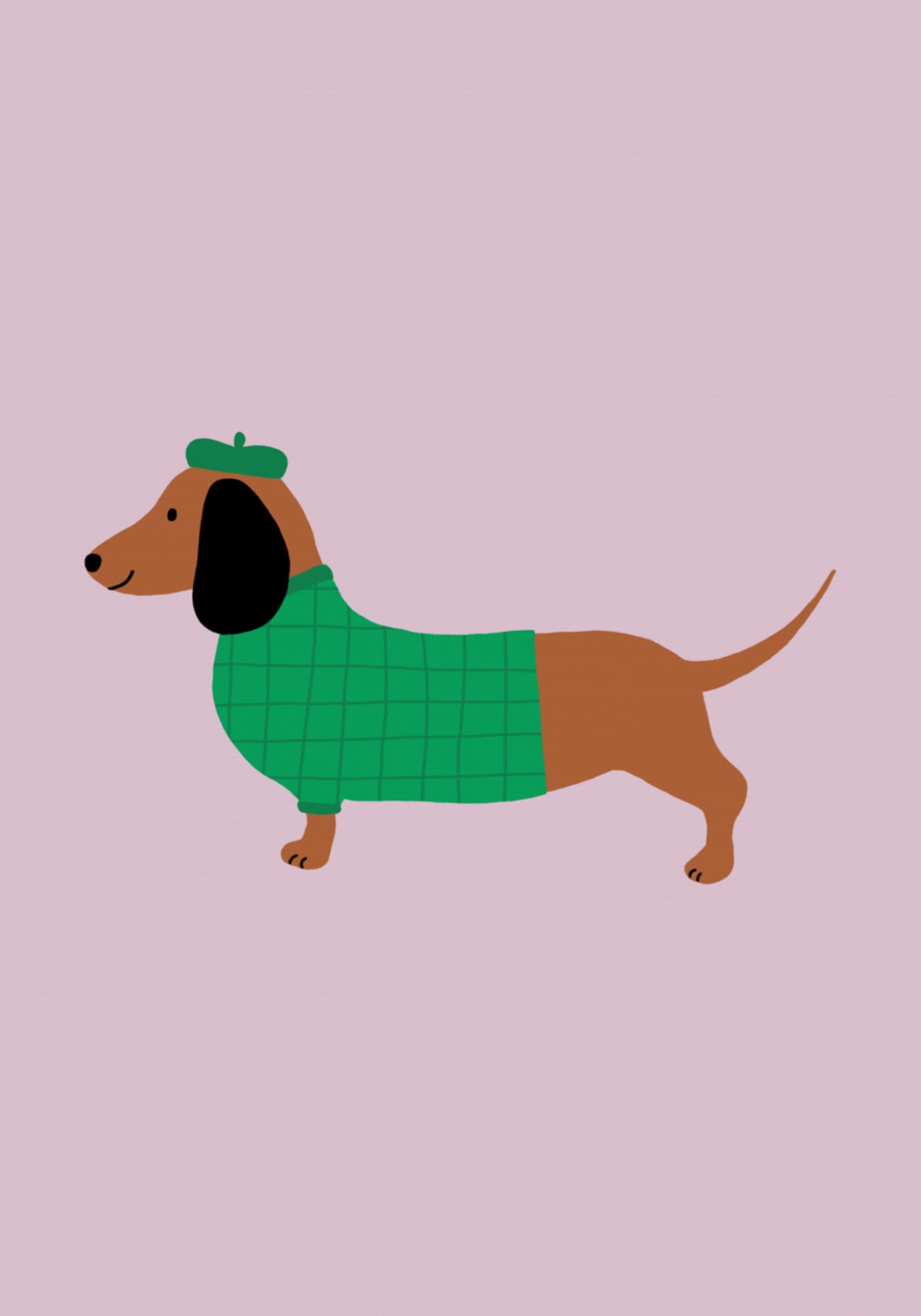 Chien pimpant en pull