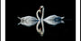 Romantic Swan Reflection