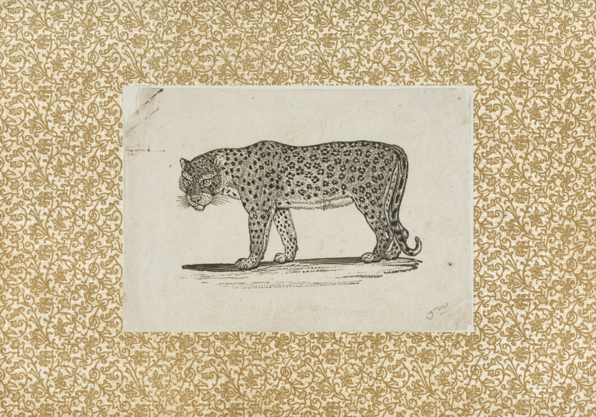 Croquis de léopard vintage