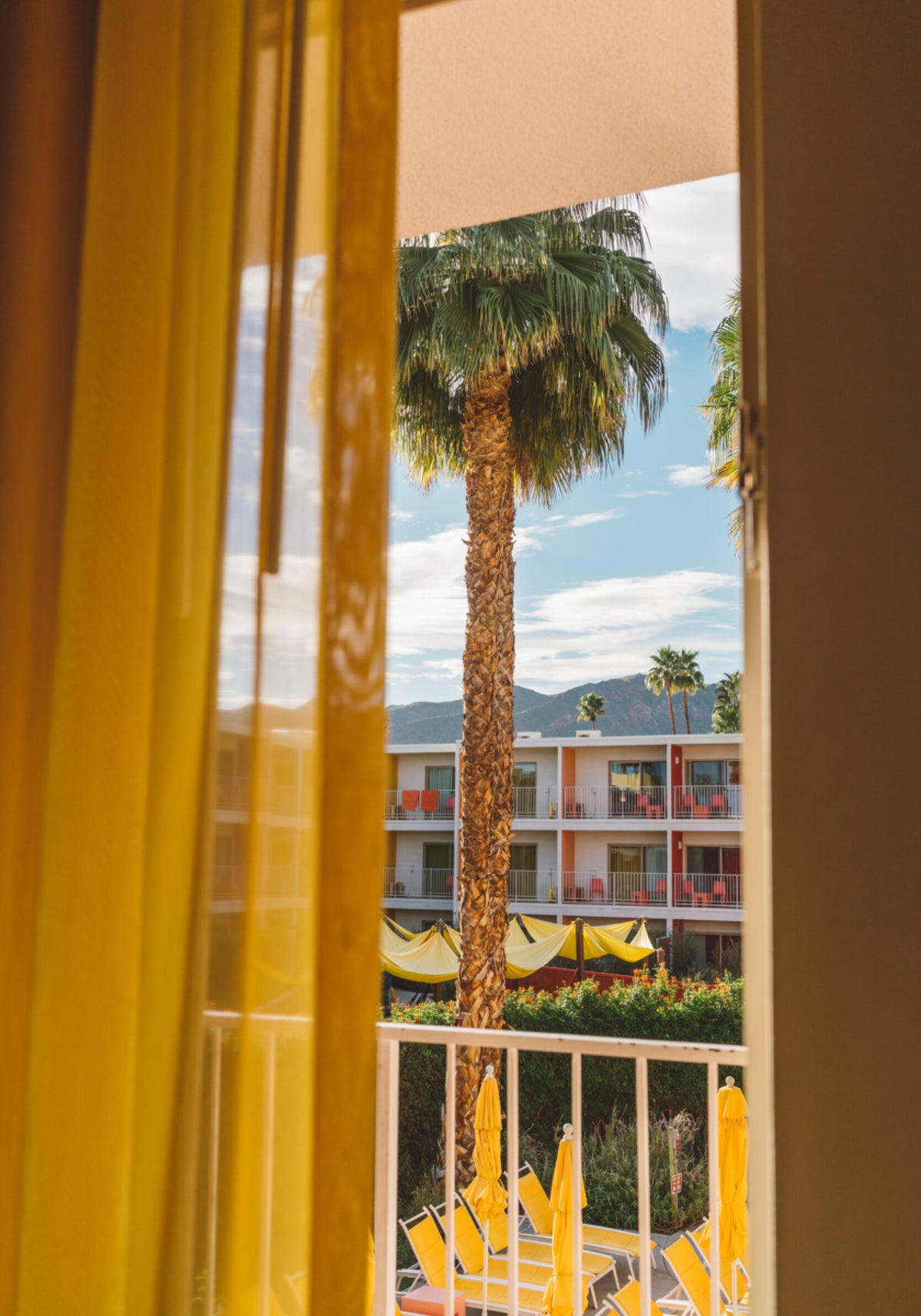 Vue sur le complexe Palm Tree