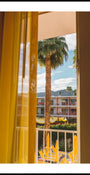 Vue sur le complexe Palm Tree
