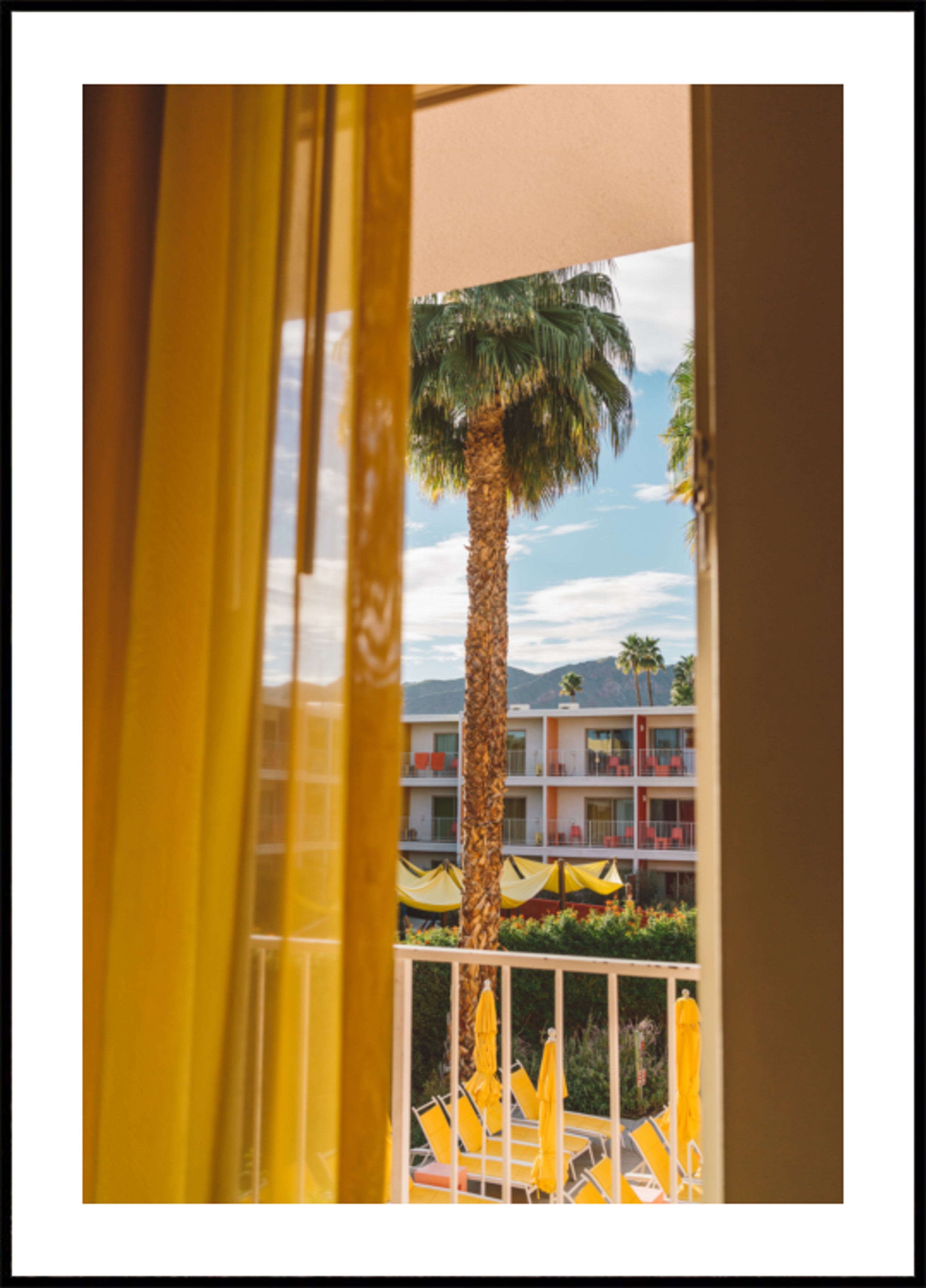 Vue sur le complexe Palm Tree