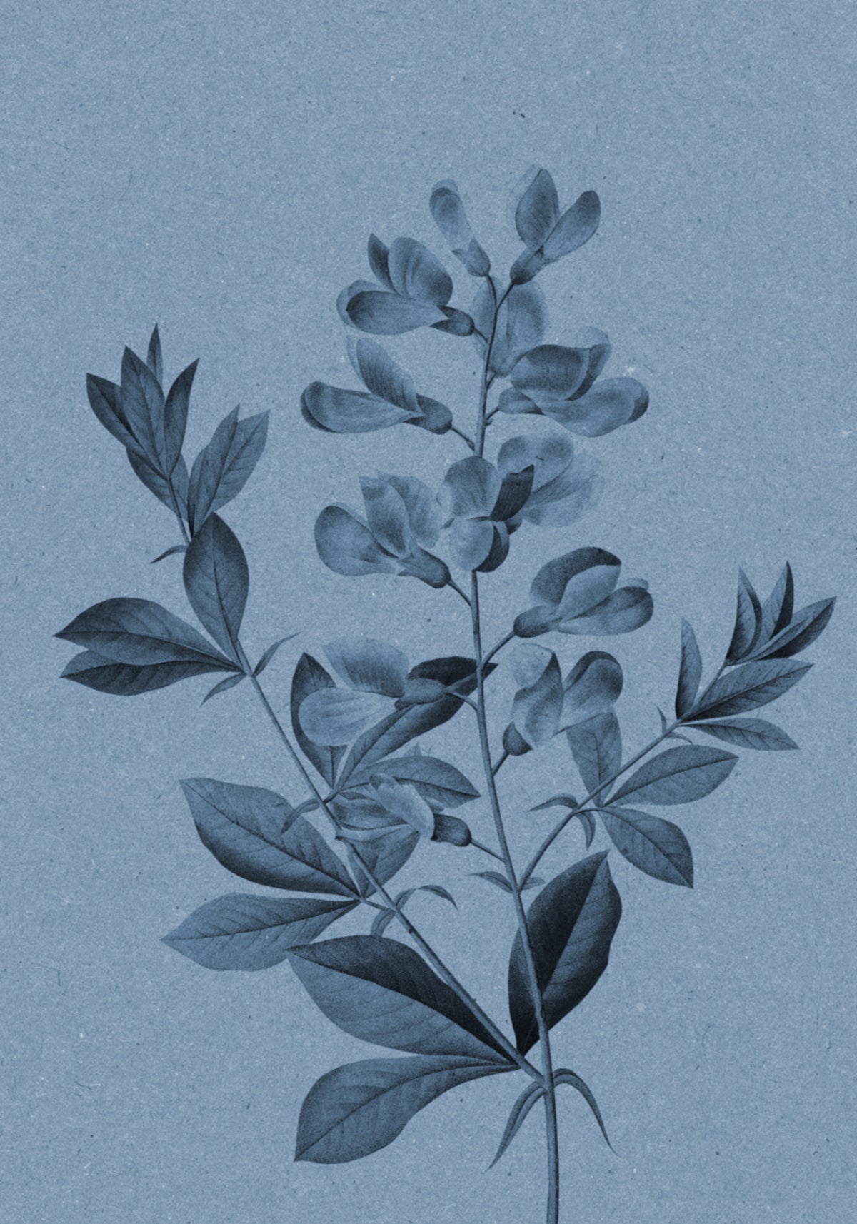 Botanique bleu élégant
