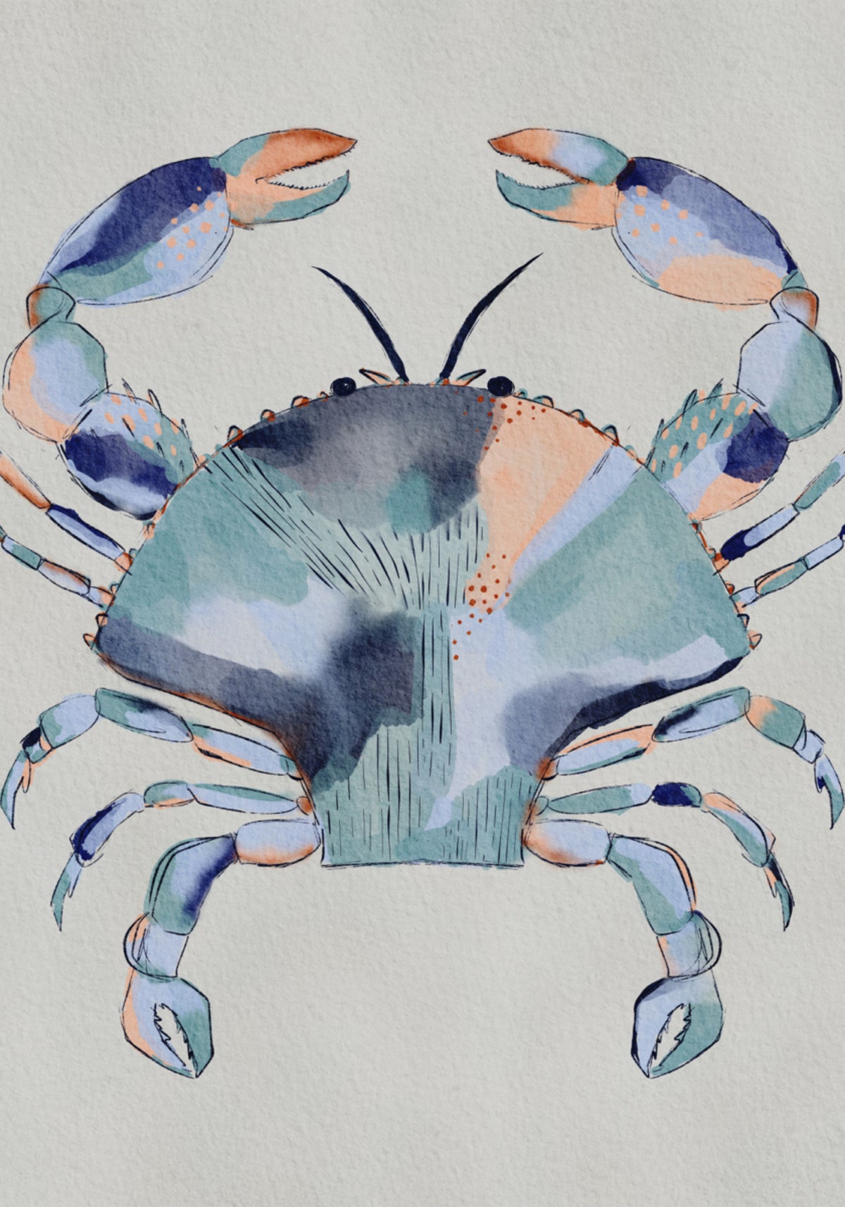 Peinture de crabe bleu côtier