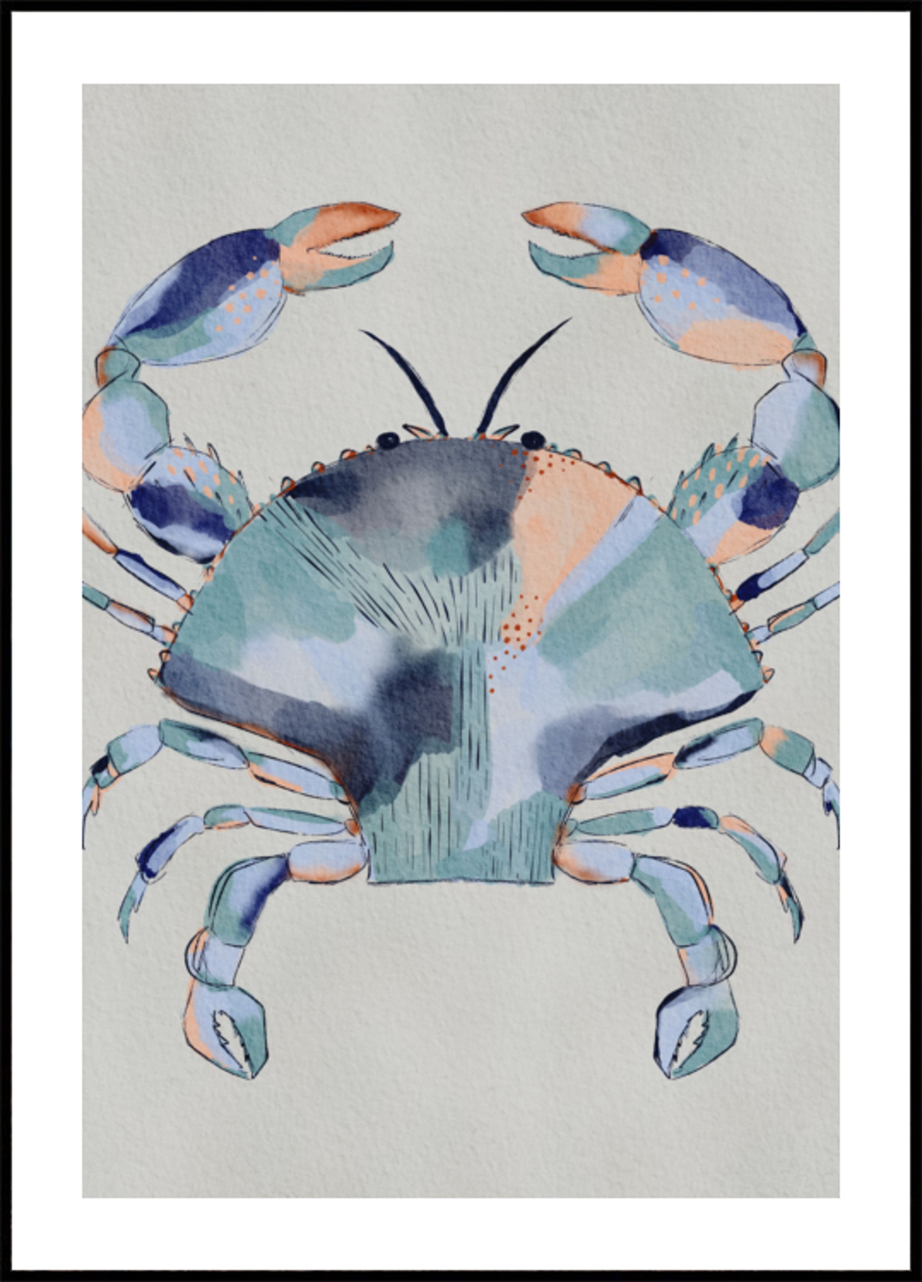 Peinture de crabe bleu côtier