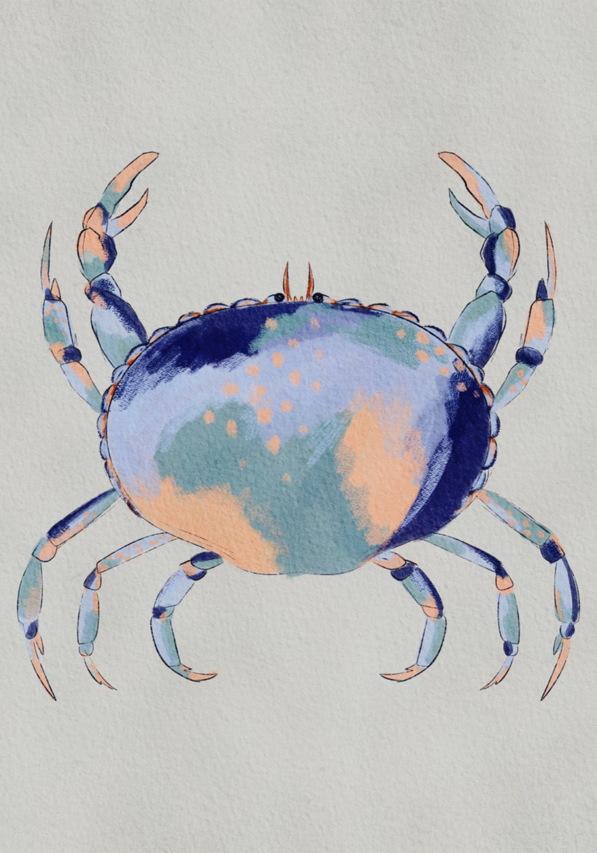 Crabe bleu serein