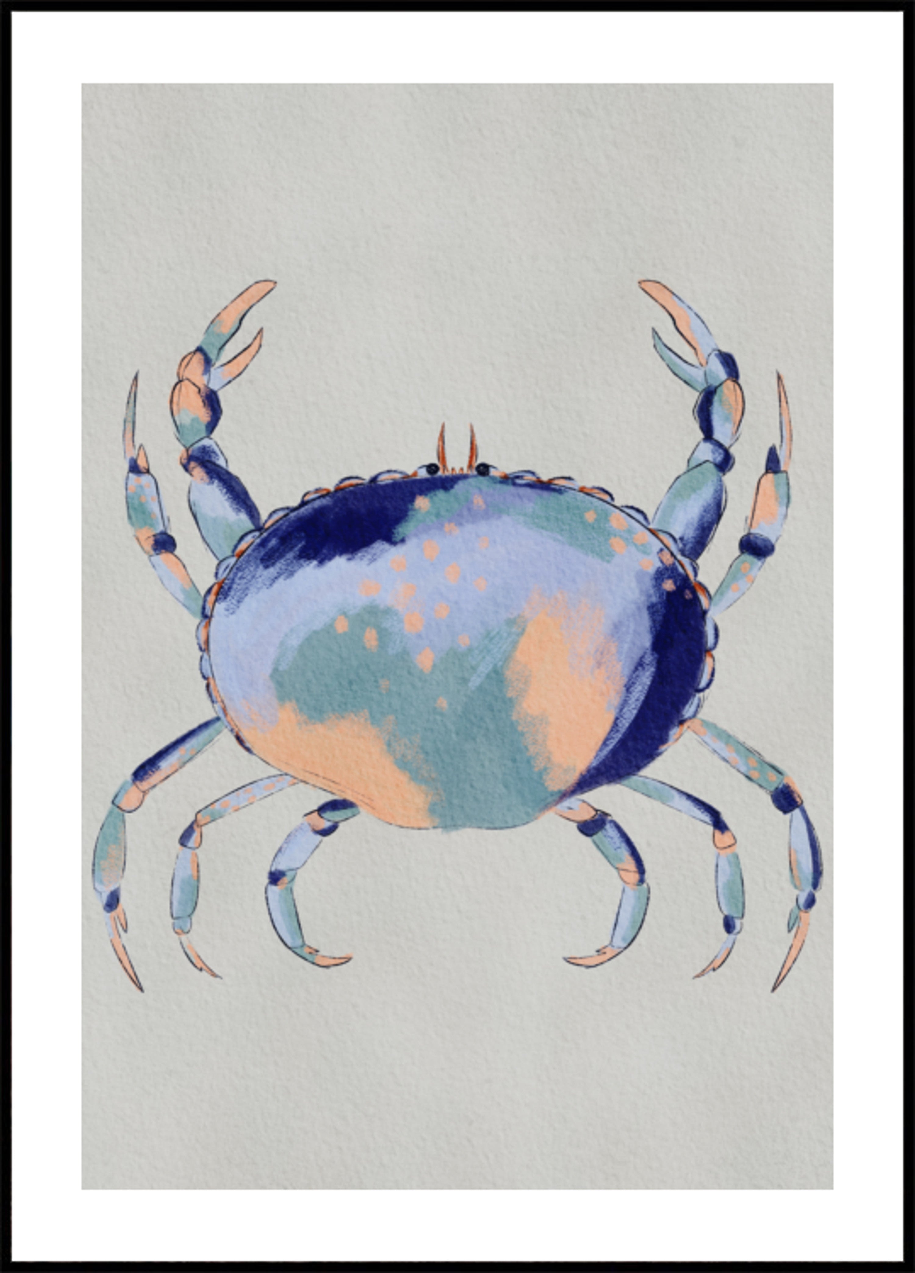 Crabe bleu serein
