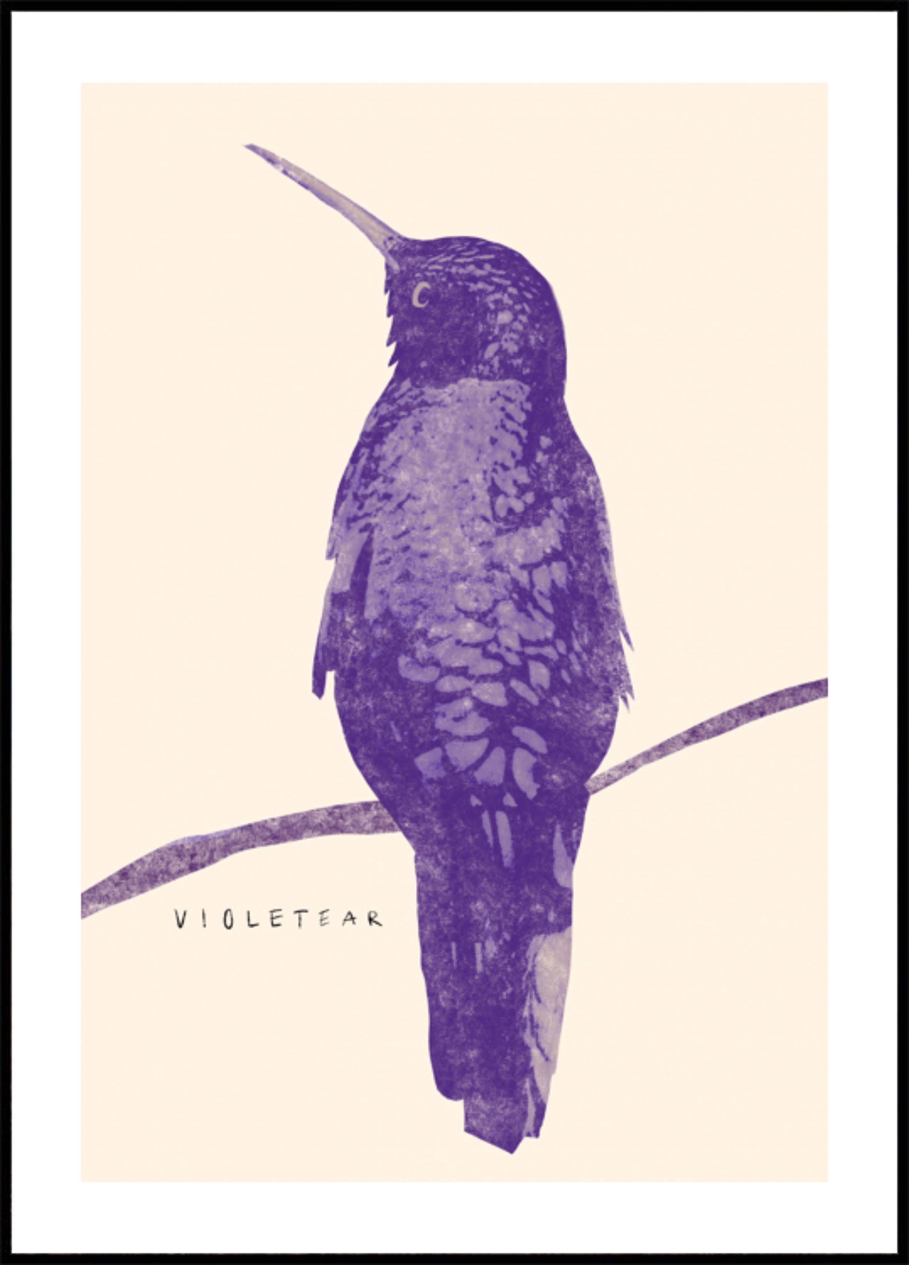 Elegant Violet Hummingbird - Posterbox