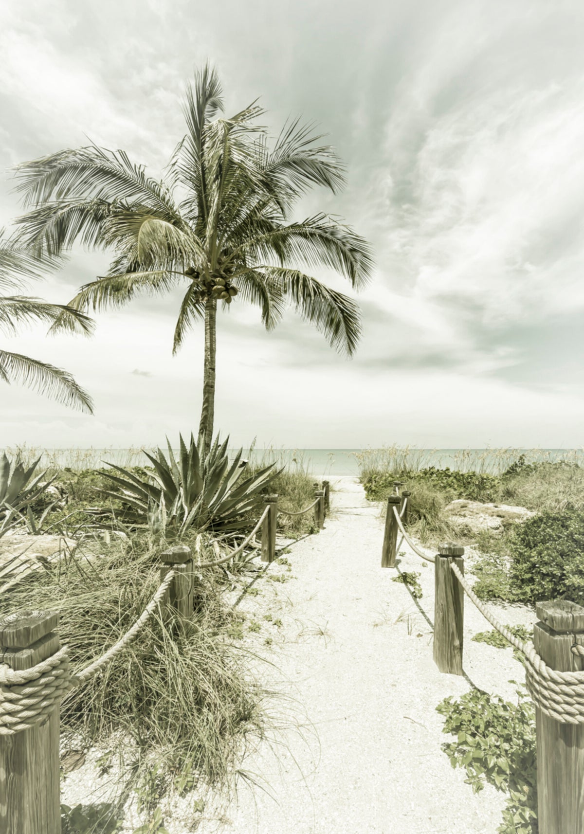 Sentier de la plage tropicale