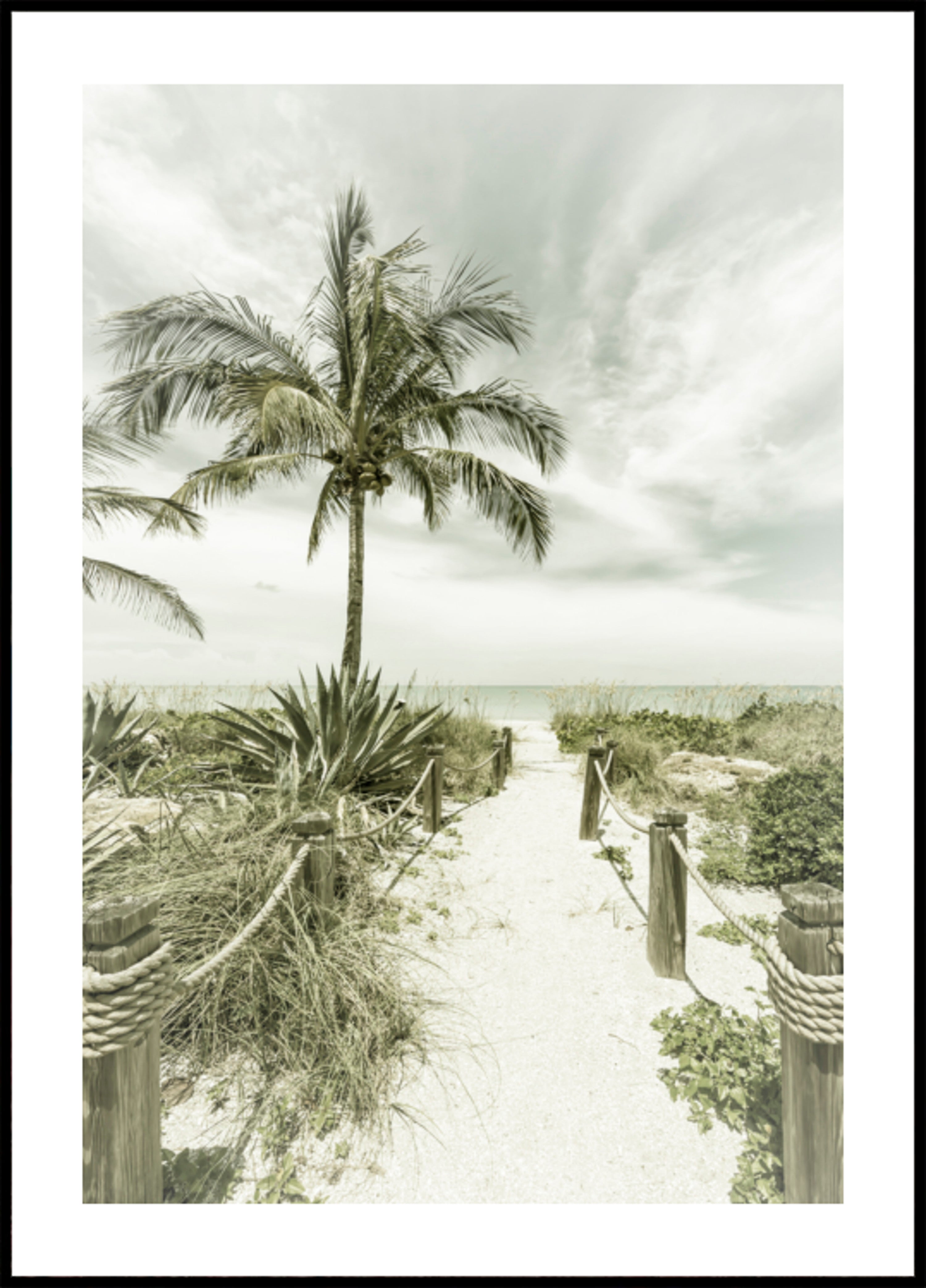 Sentier de la plage tropicale