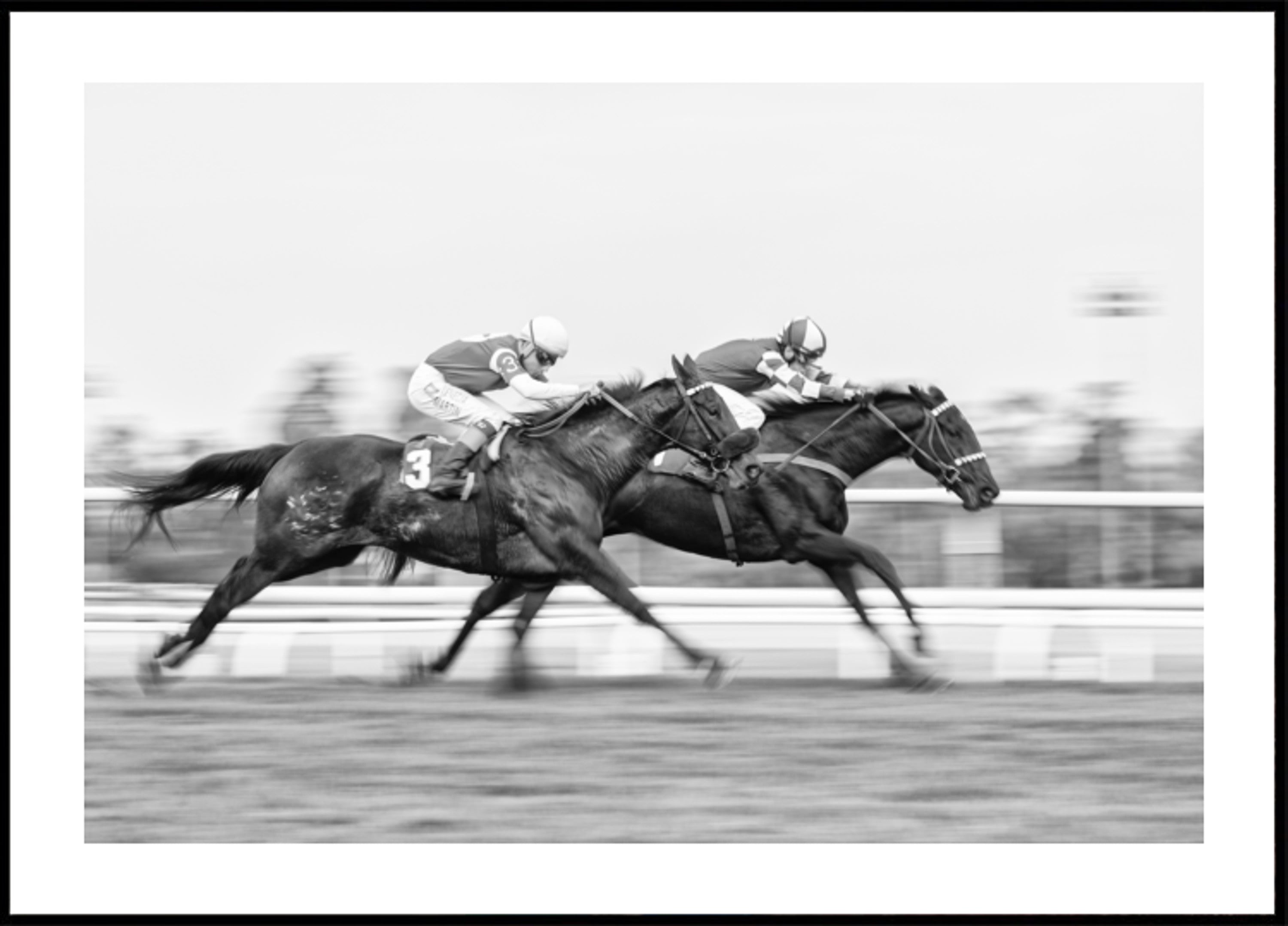 Course de chevaux dynamique