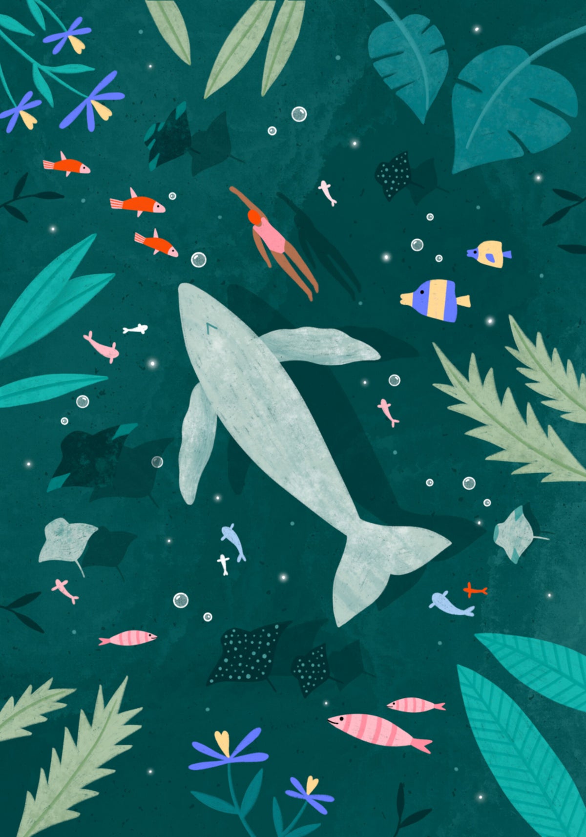 Rencontre paisible avec l'océan