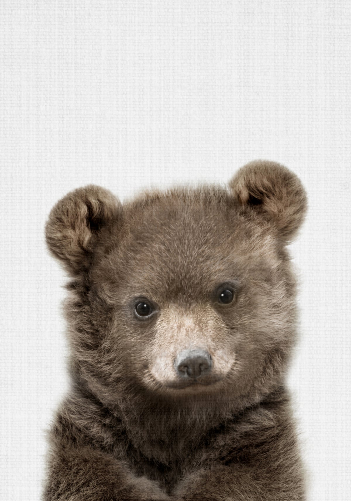 Ours mignon