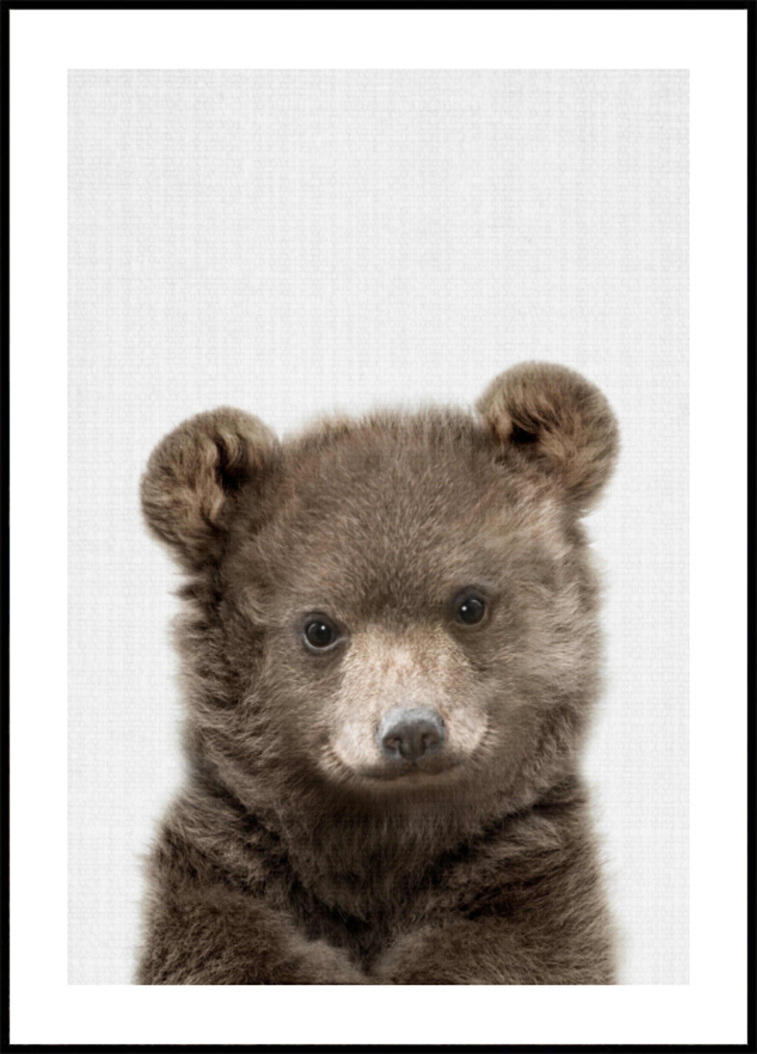 Ours mignon
