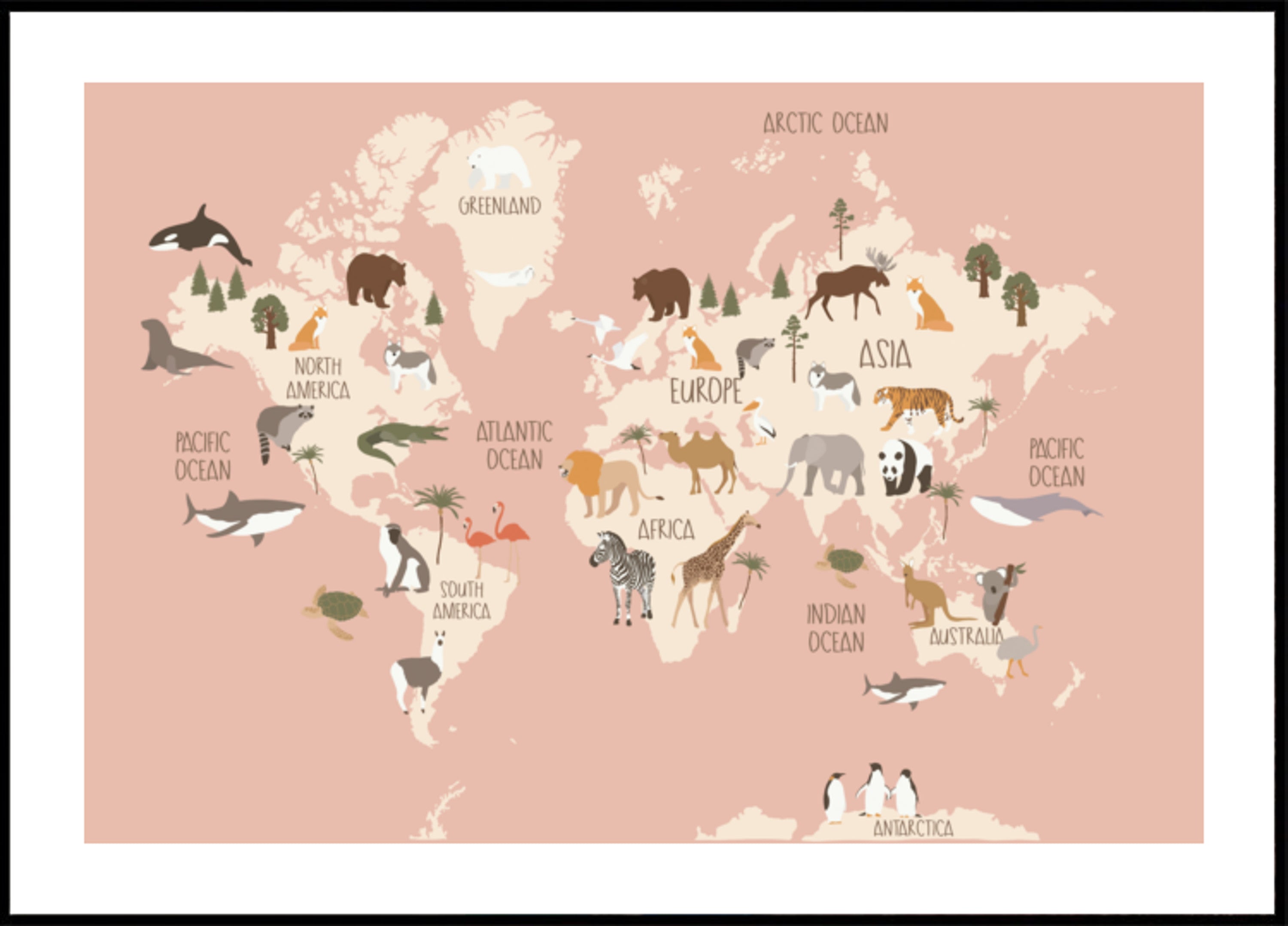 Guide mondial de la faune