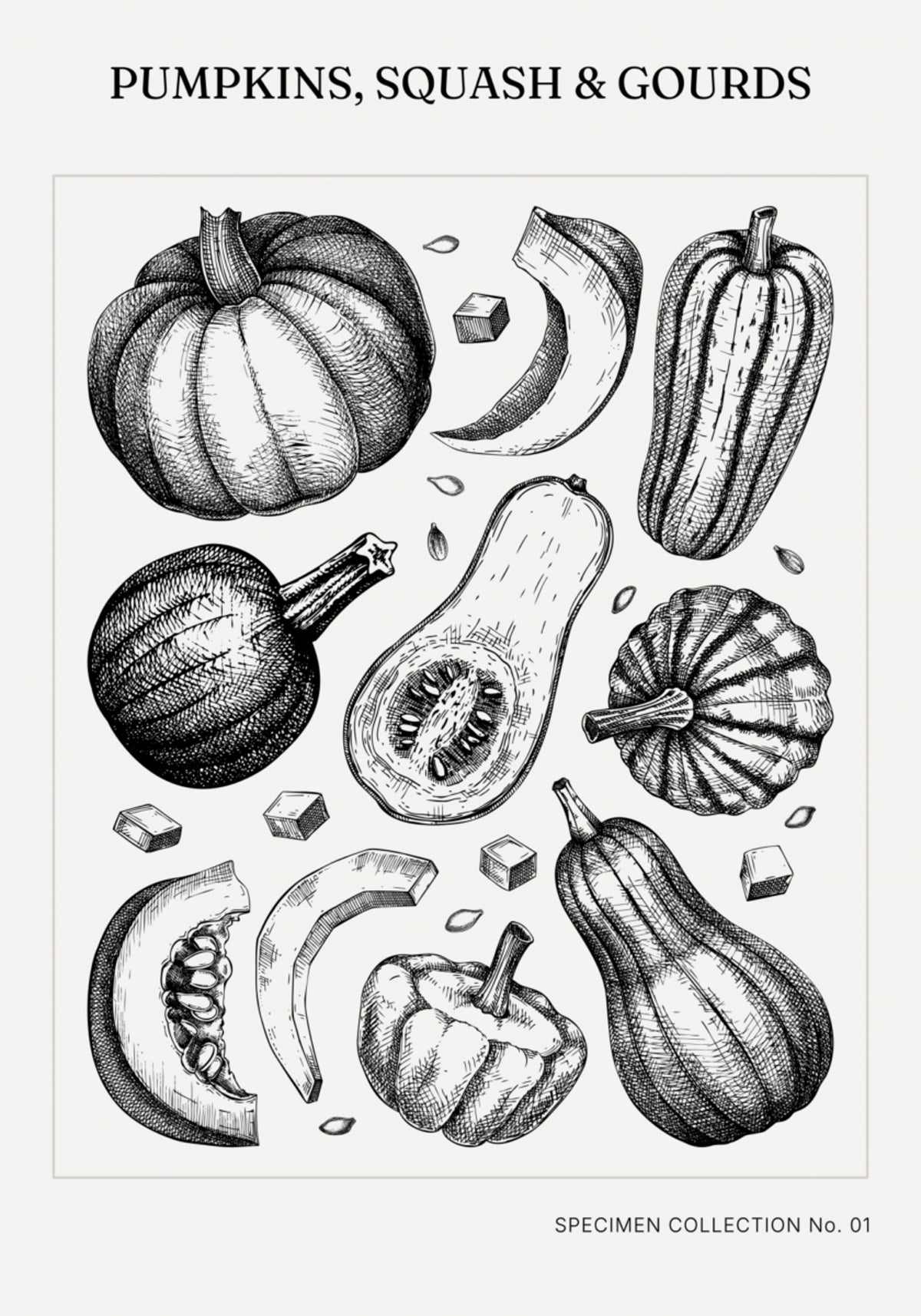 Citrouilles botaniques vintage