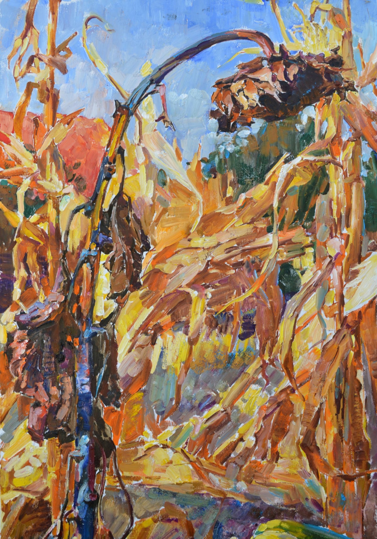 Récolte d'automne dorée