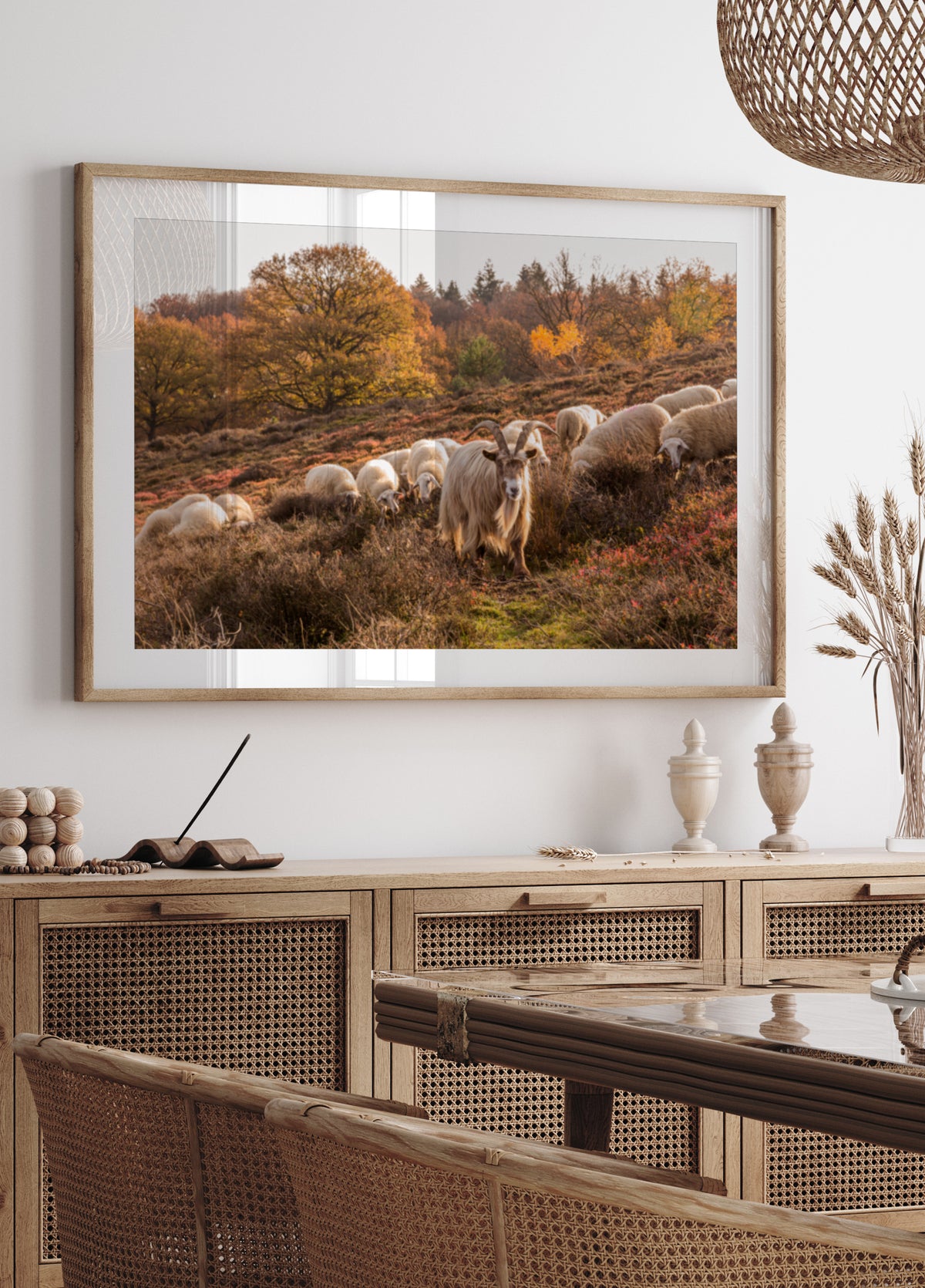 Chèvre et mouton d'automne