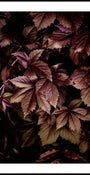 Feuilles d'automne 13