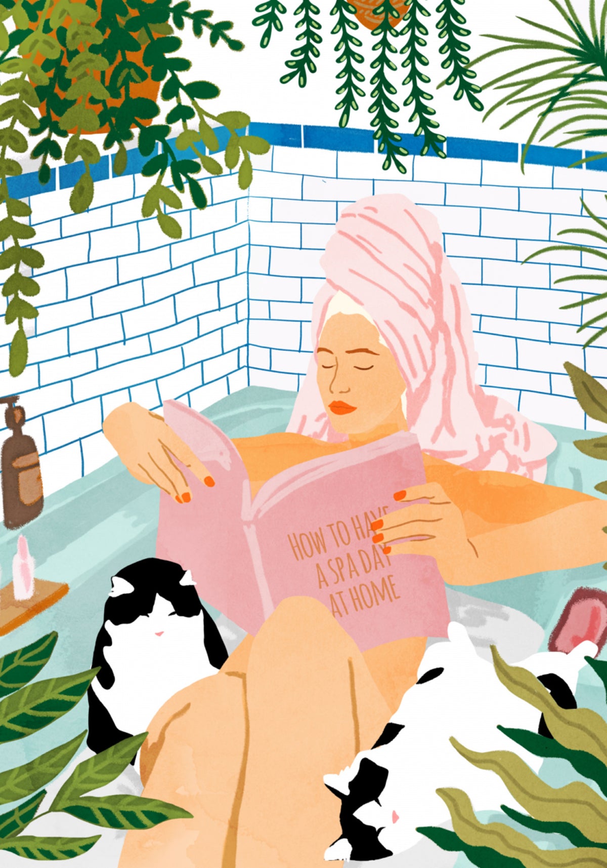 Journée spa avec des chats