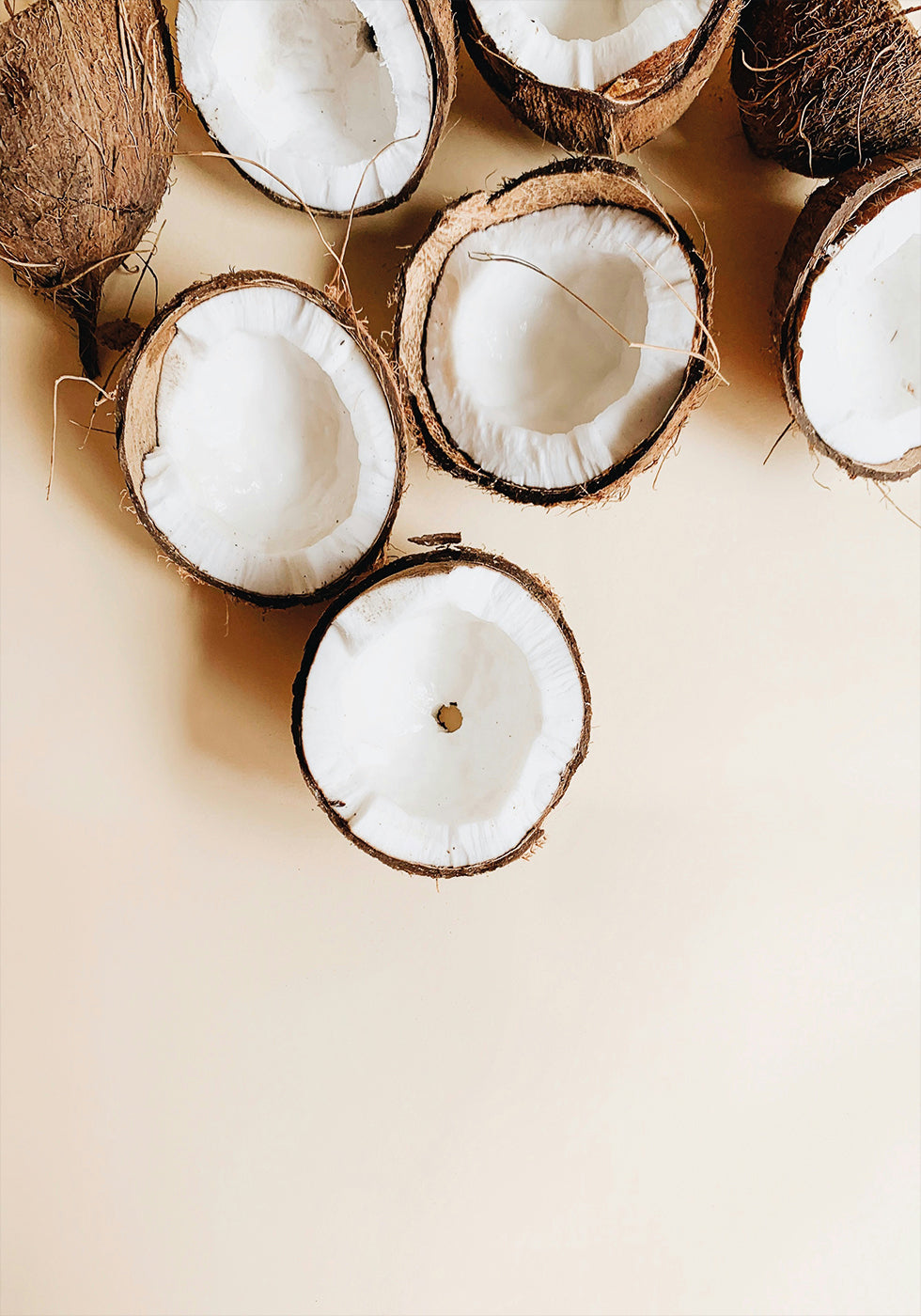 Coconut Plakat - Posterbox.dk