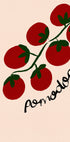 Pomodoro Tomato Italian Food Plakat - Posterbox