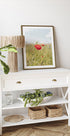 Poppy Flower (NEW) - Posterbox