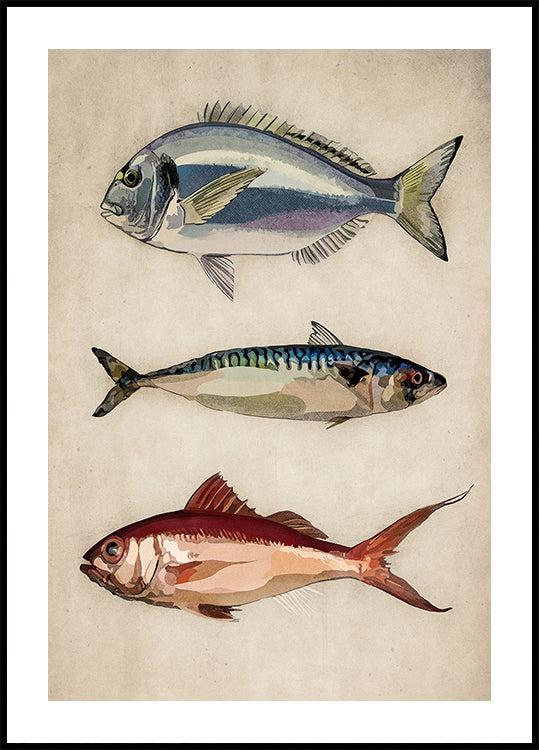 Trio of Ocean Life - Posterbox