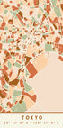 Black Maps Earth Tones 88 Plakat - Posterbox