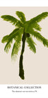 Botanical Collection Nr. 6 Plakat - Posterbox