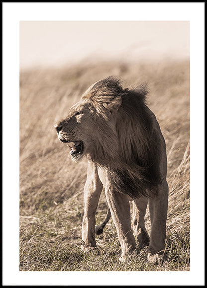 Affiche de profil de lion 