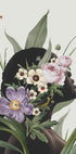 Purple flower Plakat - Posterbox