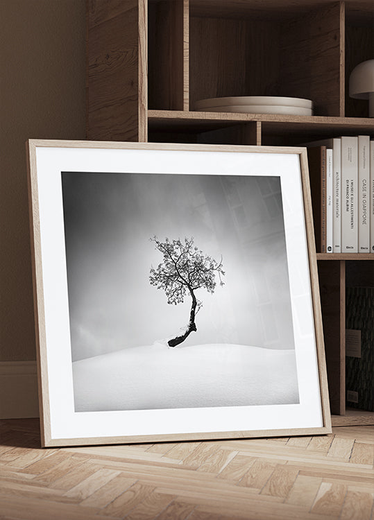 Winter Tree Plakat - Posterbox