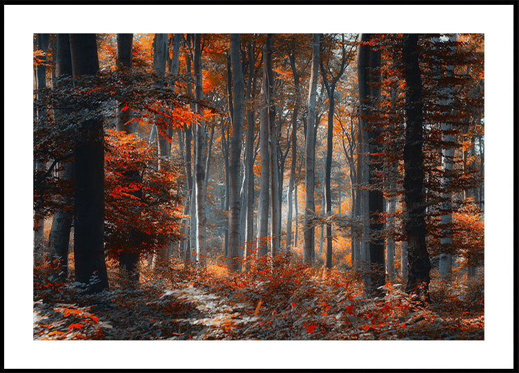 Painting Forest Plakat - Posterbox