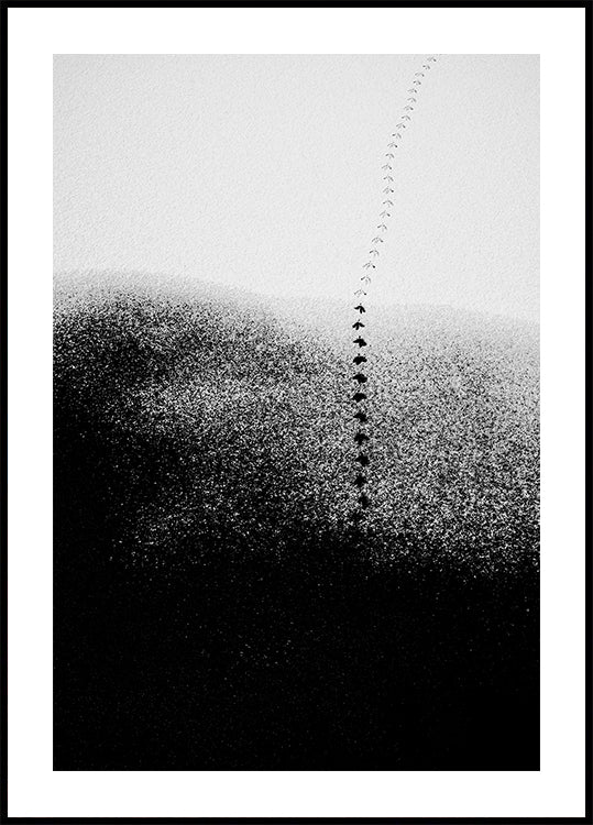 Footsteps in the snow Plakat - Posterbox