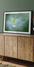 Mystical - Posterbox