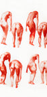Figure Motion Study 2x4 - Posterbox