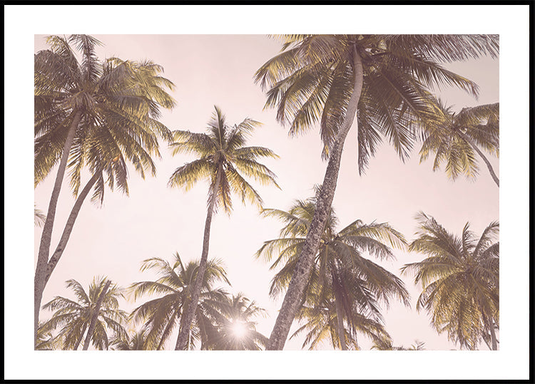 Blush Palm Trees - Posterbox