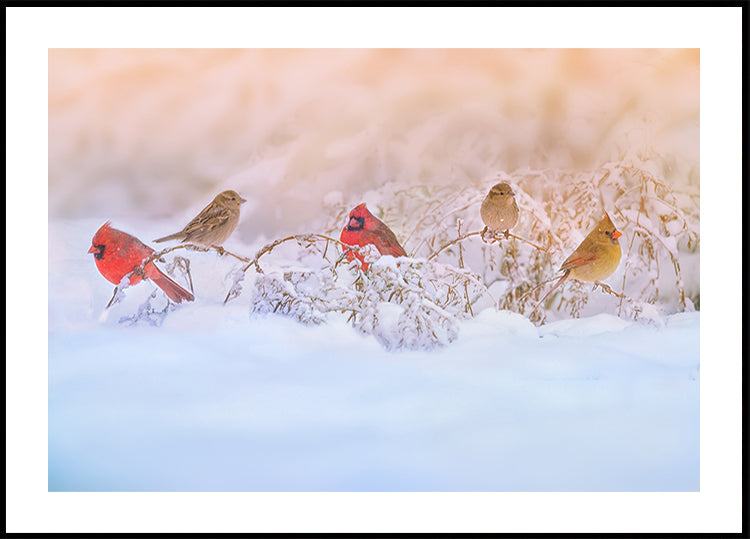Snowy Morning  Party Plakat - Posterbox