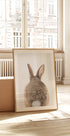 Peekaboo Bunny Tail Plakat - Posterbox