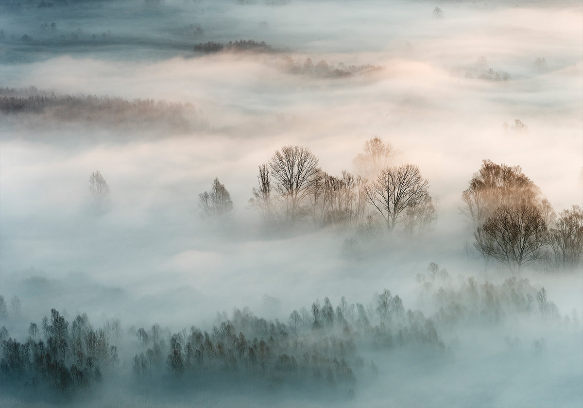 Winter fog Plakat - Posterbox