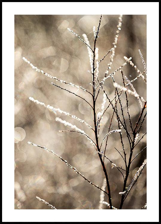 A Winter Morning 5 Plakat - Posterbox